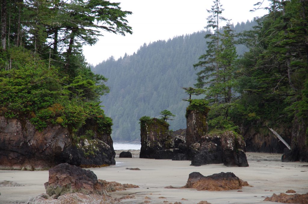 san_jo_bay_sea_stacks